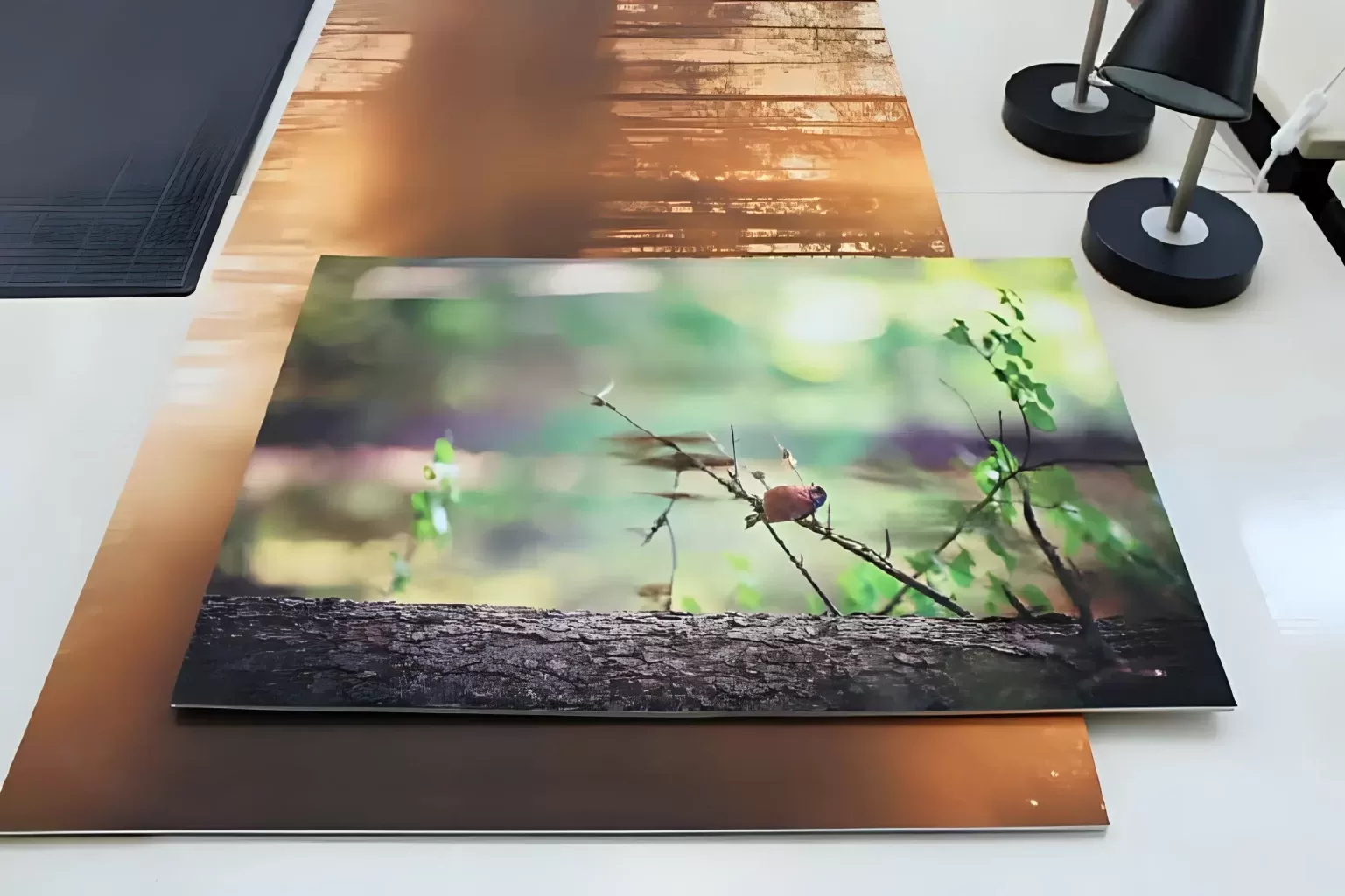 Печать на картоне